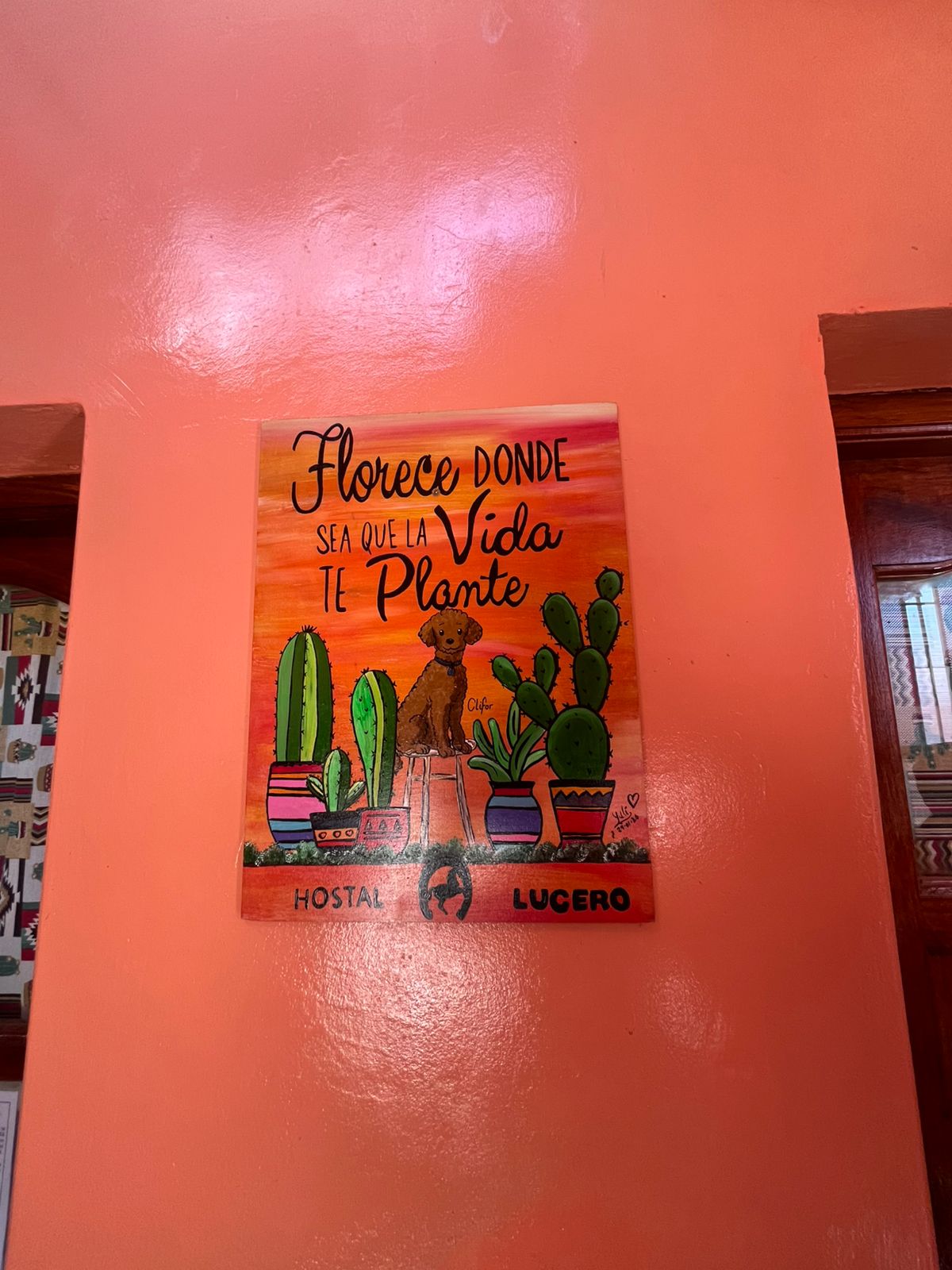 Galería Hostal Lucero 5